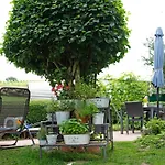 Haus Elfriede 아파트 뮐하임