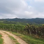 Haus Elfriede 公寓 穆尔海姆
