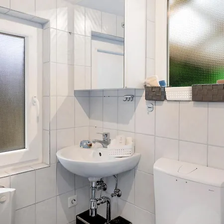 Haus Elfriede アパート ミュールハイム