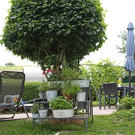 Appartement Haus Elfriede Mullheim (Baden-Wurttemberg)