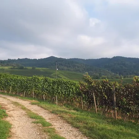 Haus Elfriede Mullheim (Baden-Wurttemberg)