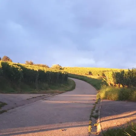 Haus Elfriede Mullheim (Baden-Wurttemberg)