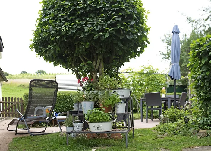 Lejlighed Haus Elfriede Mullheim (Baden-Wurttemberg)