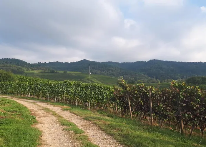 Haus Elfriede Mullheim (Baden-Wurttemberg)