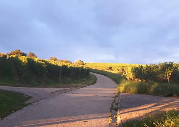 Haus Elfriede Mullheim (Baden-Wurttemberg)